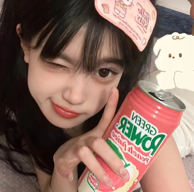 游击飞行中队