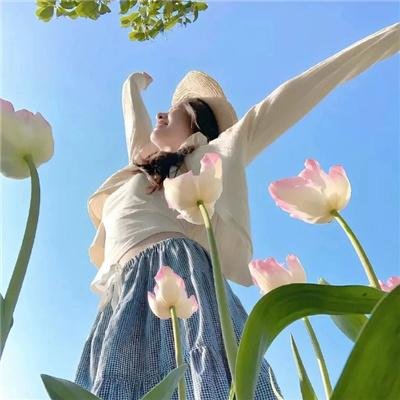 冲突化解的云衡艺术